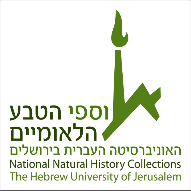 Hebrew Nation University